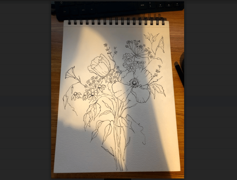 5 Flowers in Watercolor and Ink - image 1 - student project