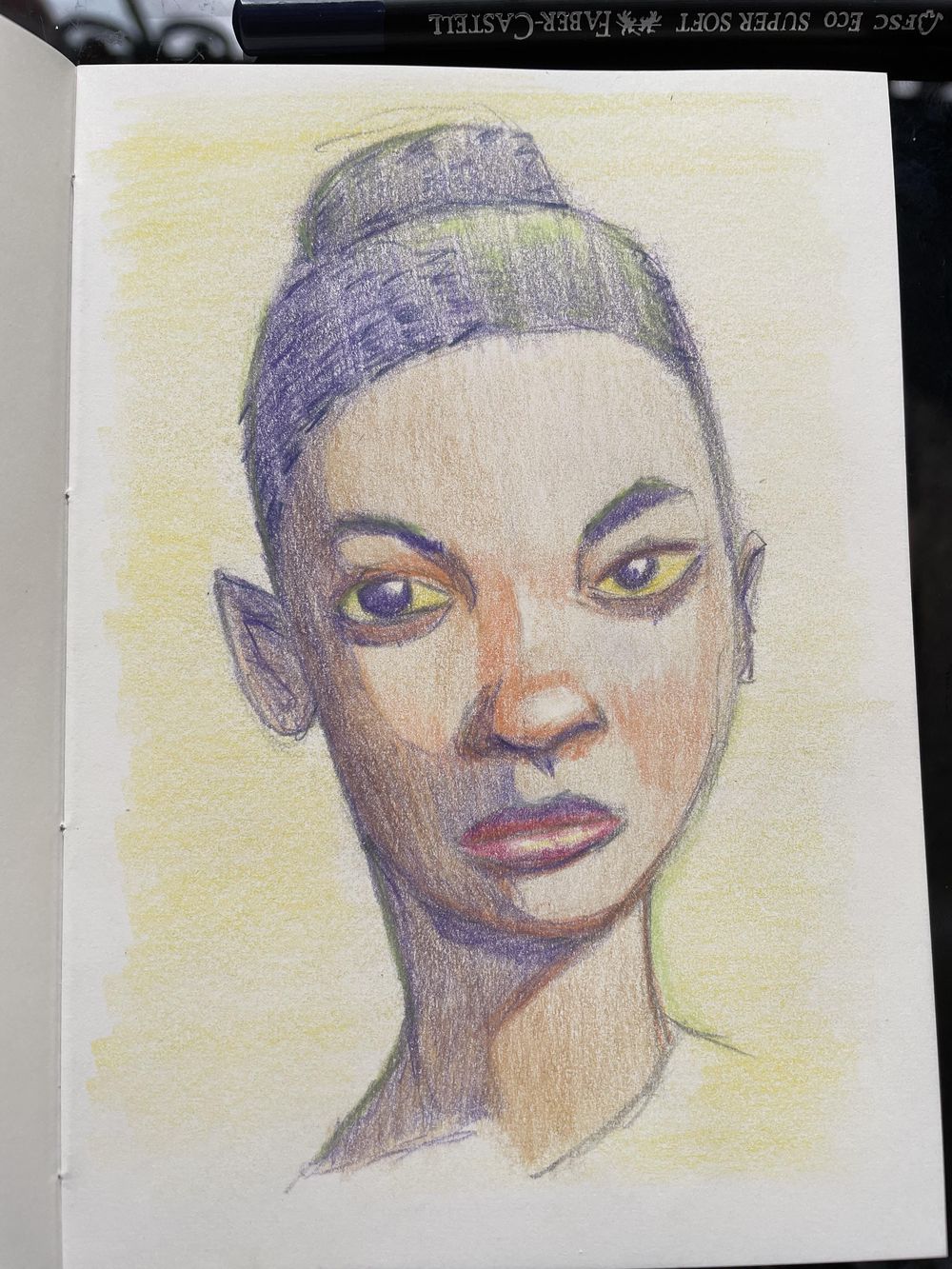 A colored portrait - following the class - image 4 - student project
