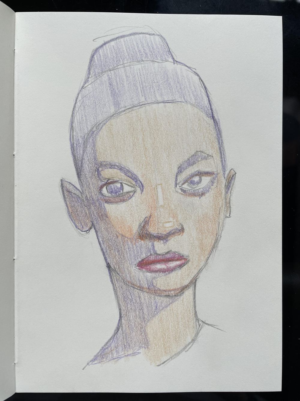 A colored portrait - following the class - image 3 - student project