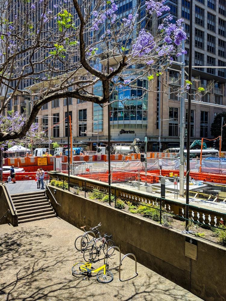 Saturday in Sydney - image 1 - student project
