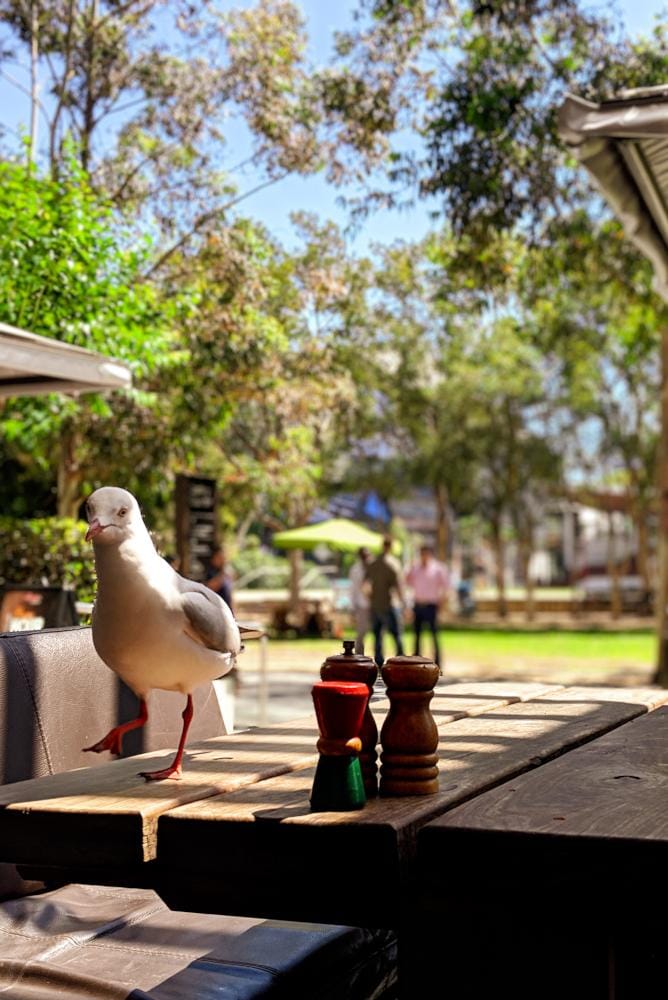 Saturday in Sydney - image 4 - student project