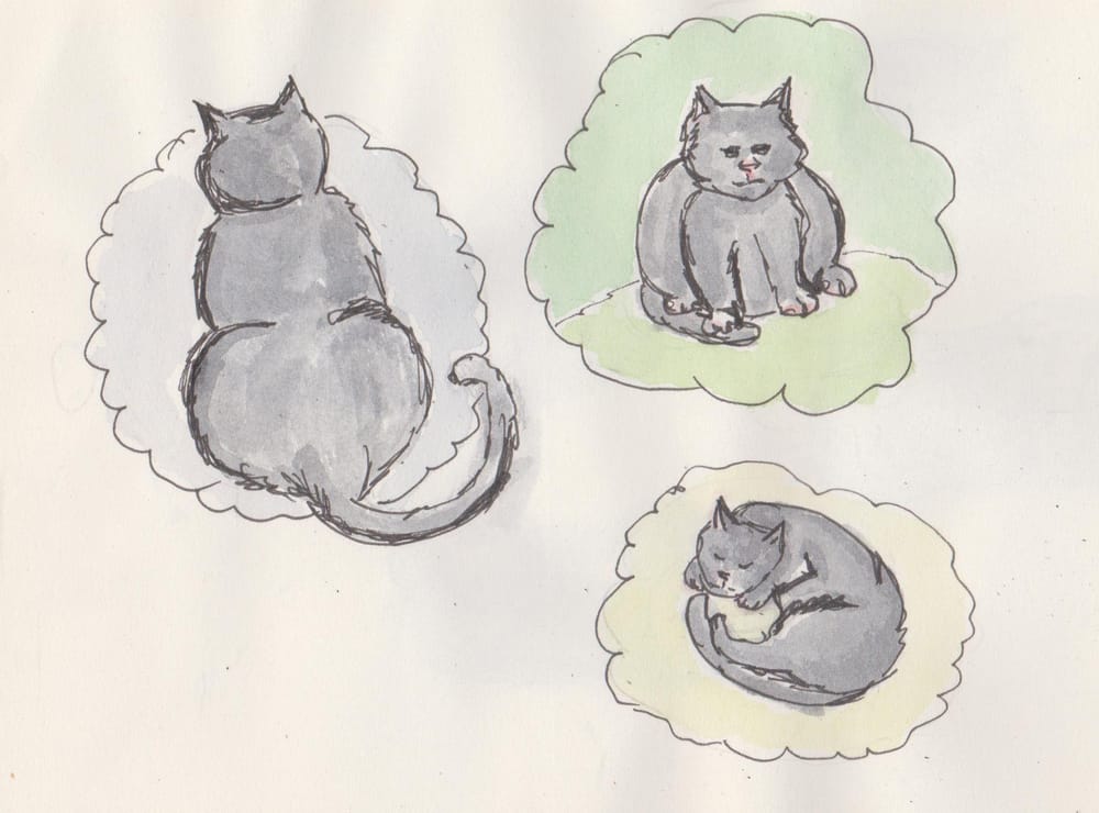 My Lazy cat Dean - image 1 - student project