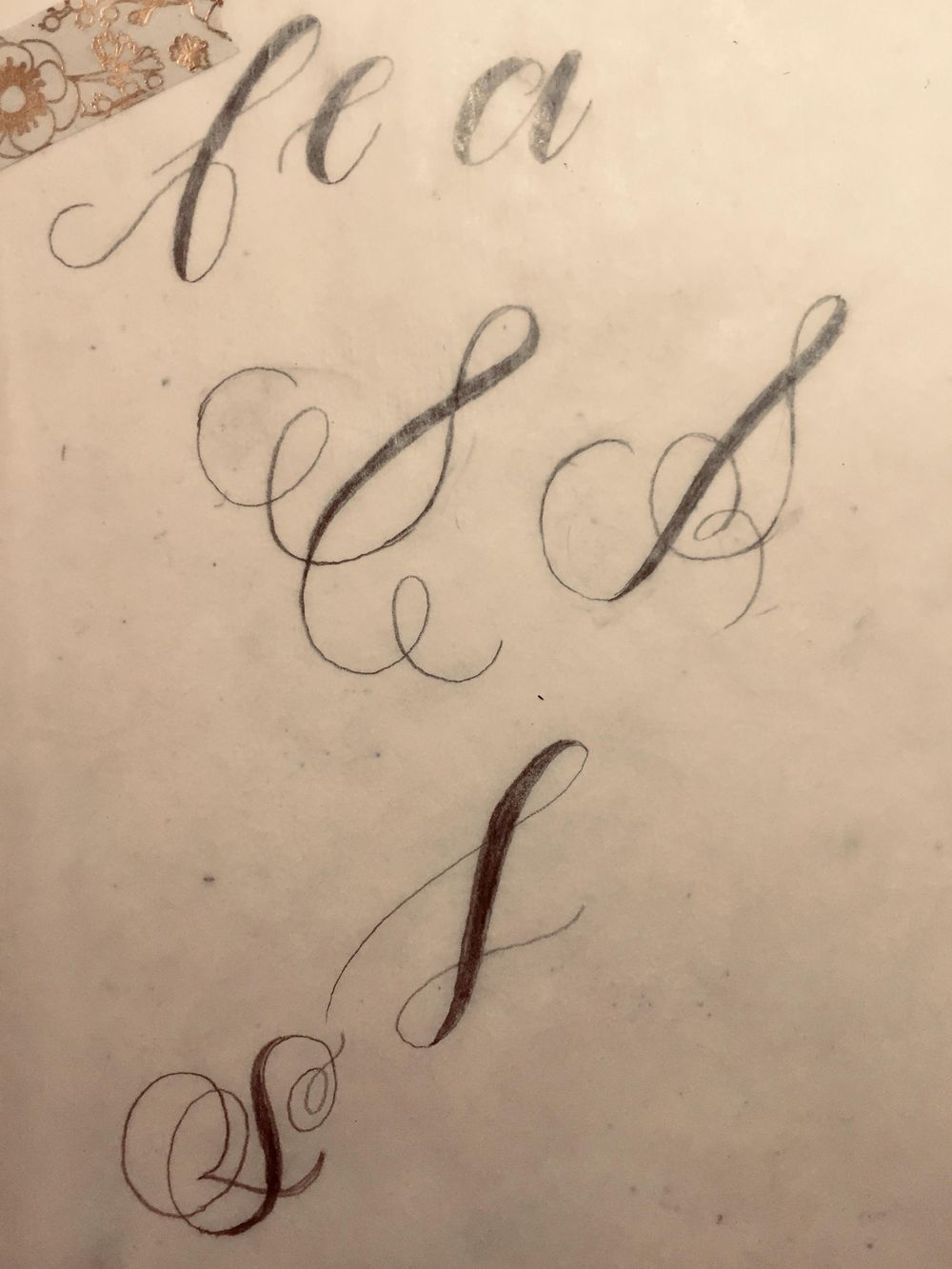This is a beautiful start to a lifelong love letter - image 6 - student project