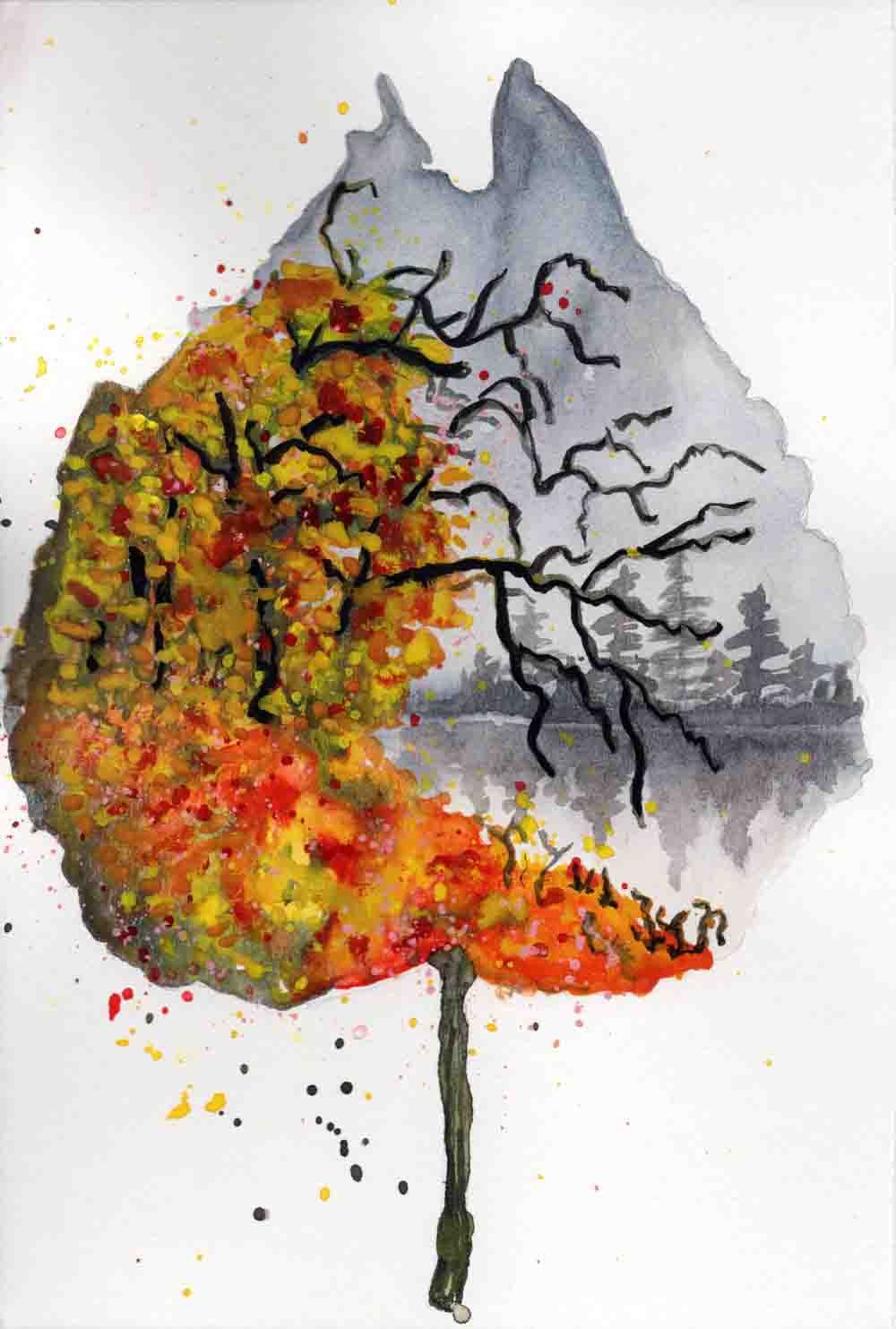 Landscape techniques in autumn - image 3 - student project
