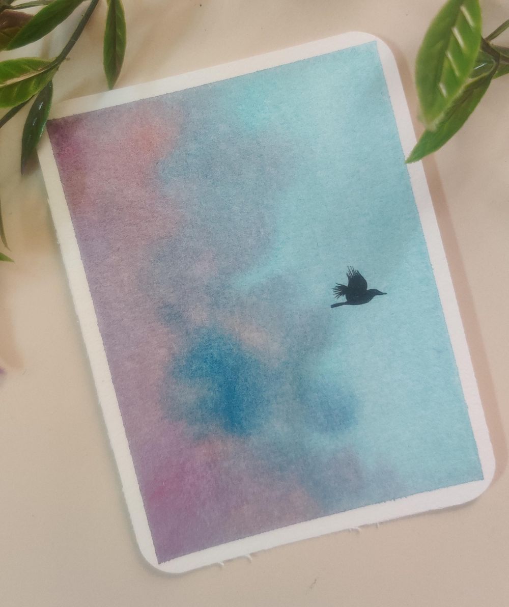 15 days of Skies and Birds with Eswari - image 20 - student project