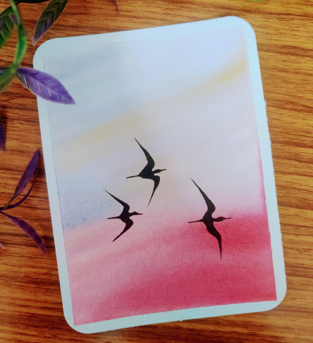 15 days of Skies and Birds with Eswari - image 18 - student project