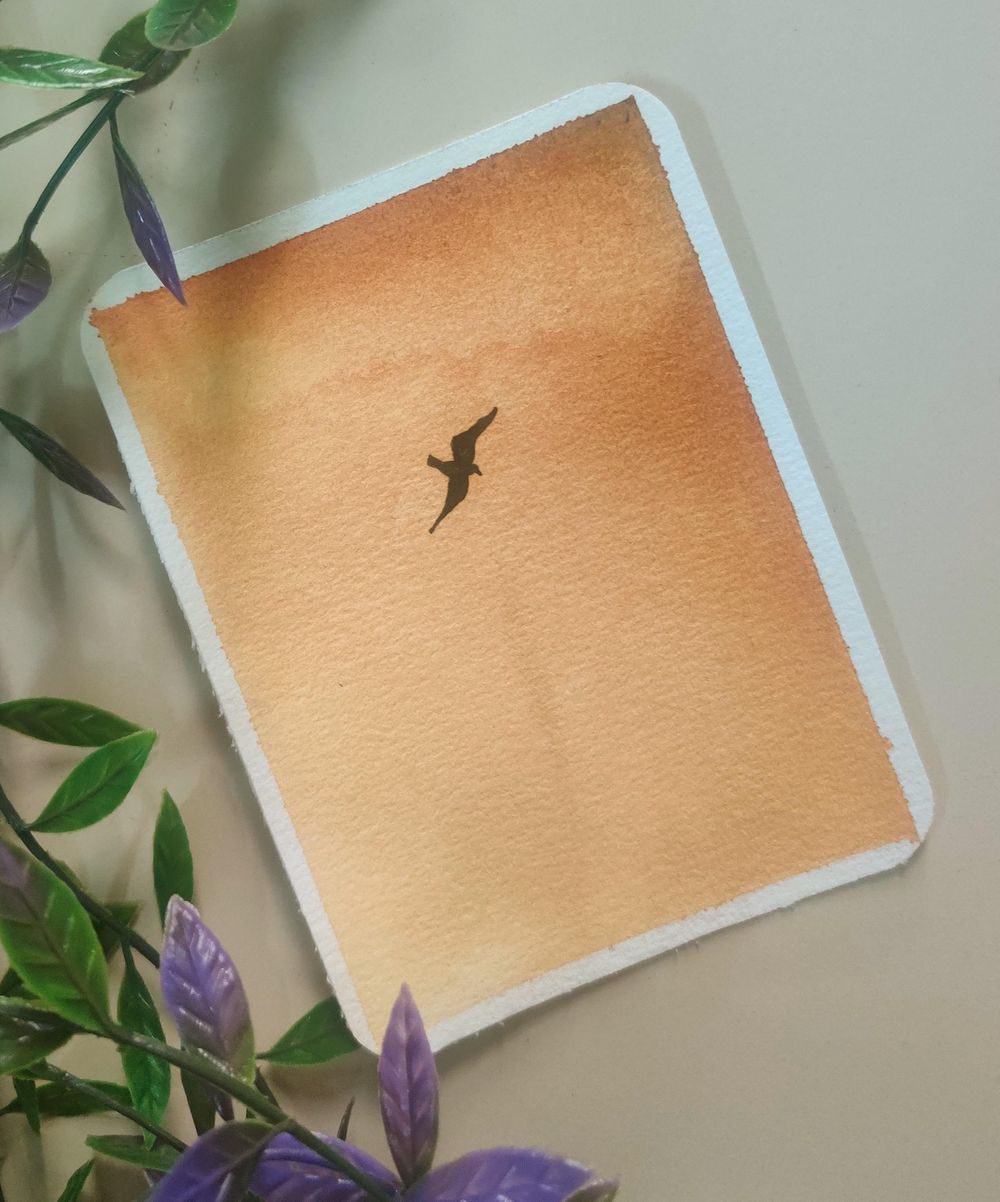 15 days of Skies and Birds with Eswari - image 8 - student project
