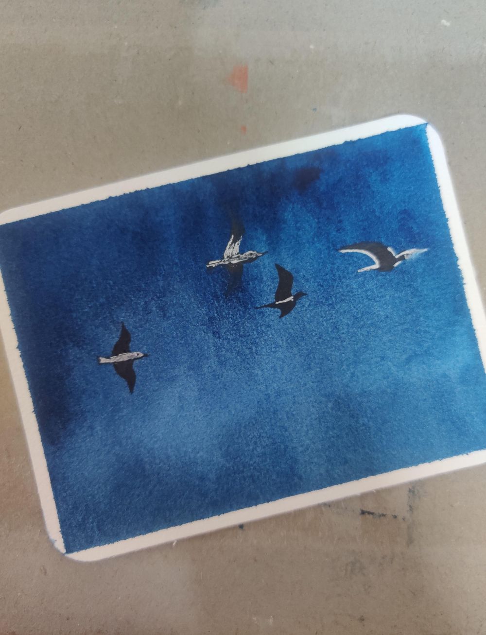 15 days of Skies and Birds with Eswari - image 2 - student project