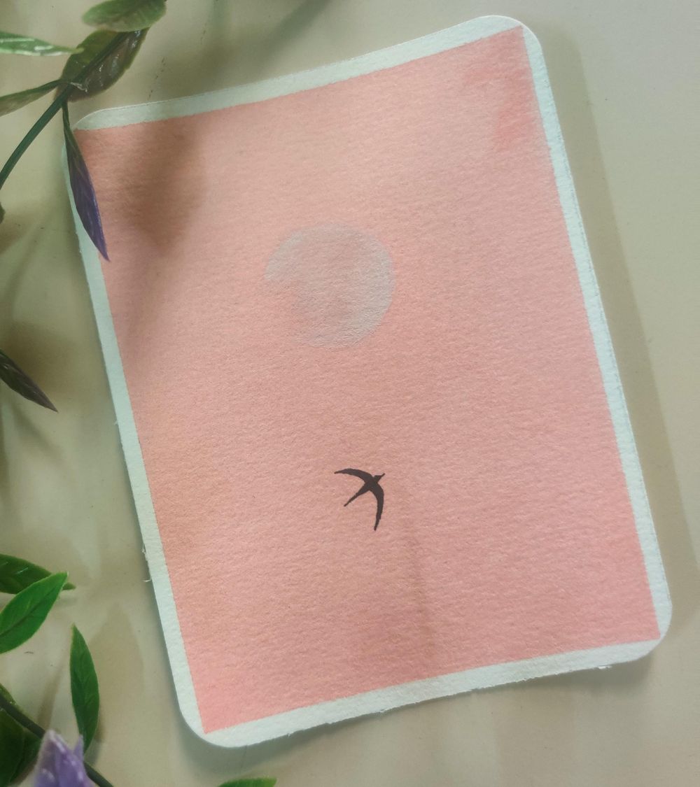 15 days of Skies and Birds with Eswari - image 10 - student project