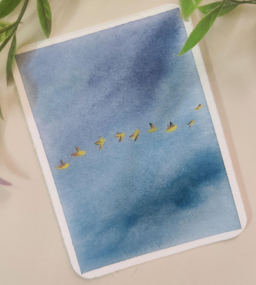 15 days of Skies and Birds with Eswari - image 21 - student project