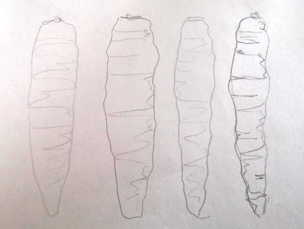 First (and second) practice - image 3 - student project