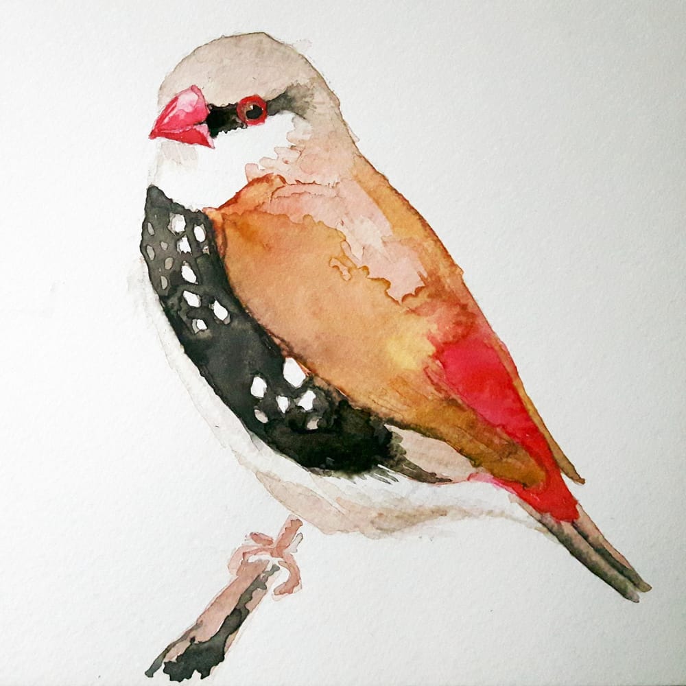 Friendly bird - image 1 - student project