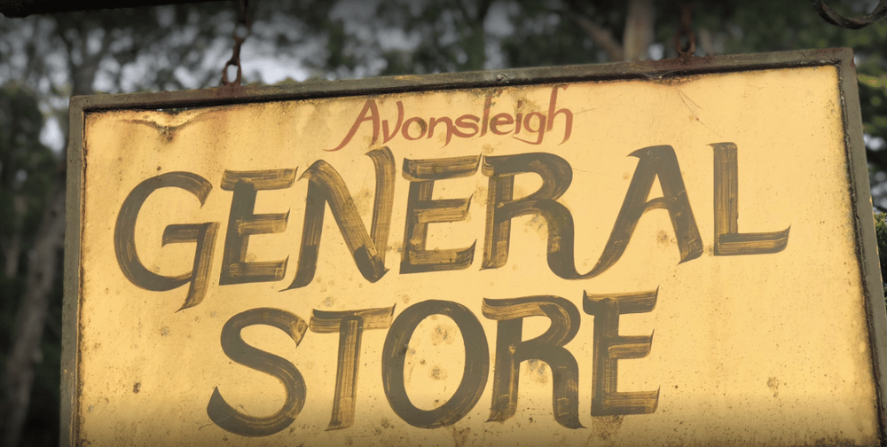 Avonsleigh General Store - image 1 - student project