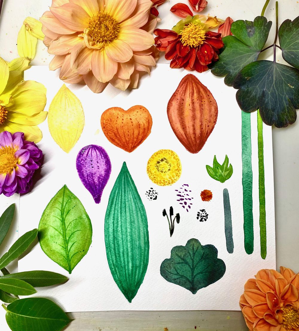 Botanical Scenes in Photoshop - image 2 - student project