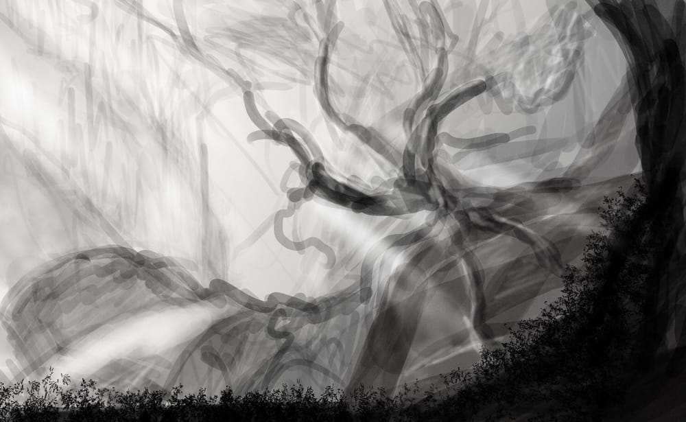 Enchanted Cat Forest - image 1 - student project