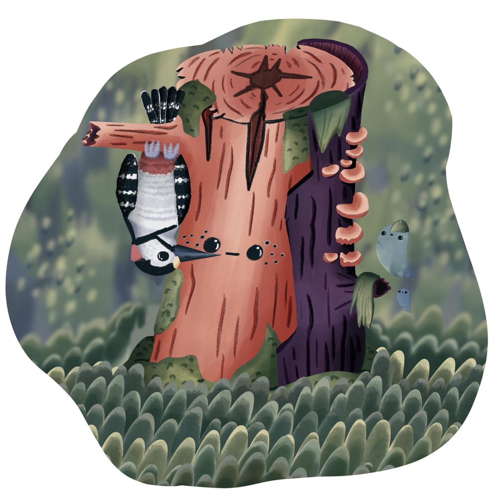 Style Class Project: A-Z of Woodlands - Finished! - image 7 - student project