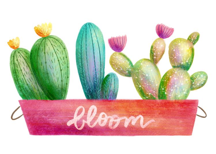 Cacti - image 1 - student project