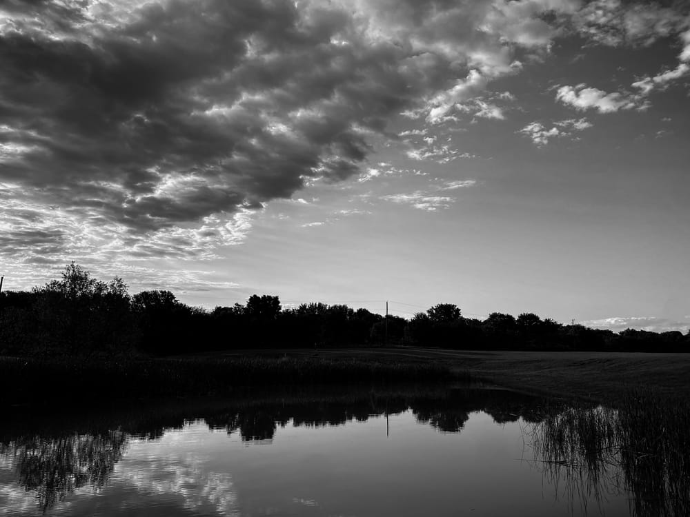 Lightroom iPhone pics - image 4 - student project