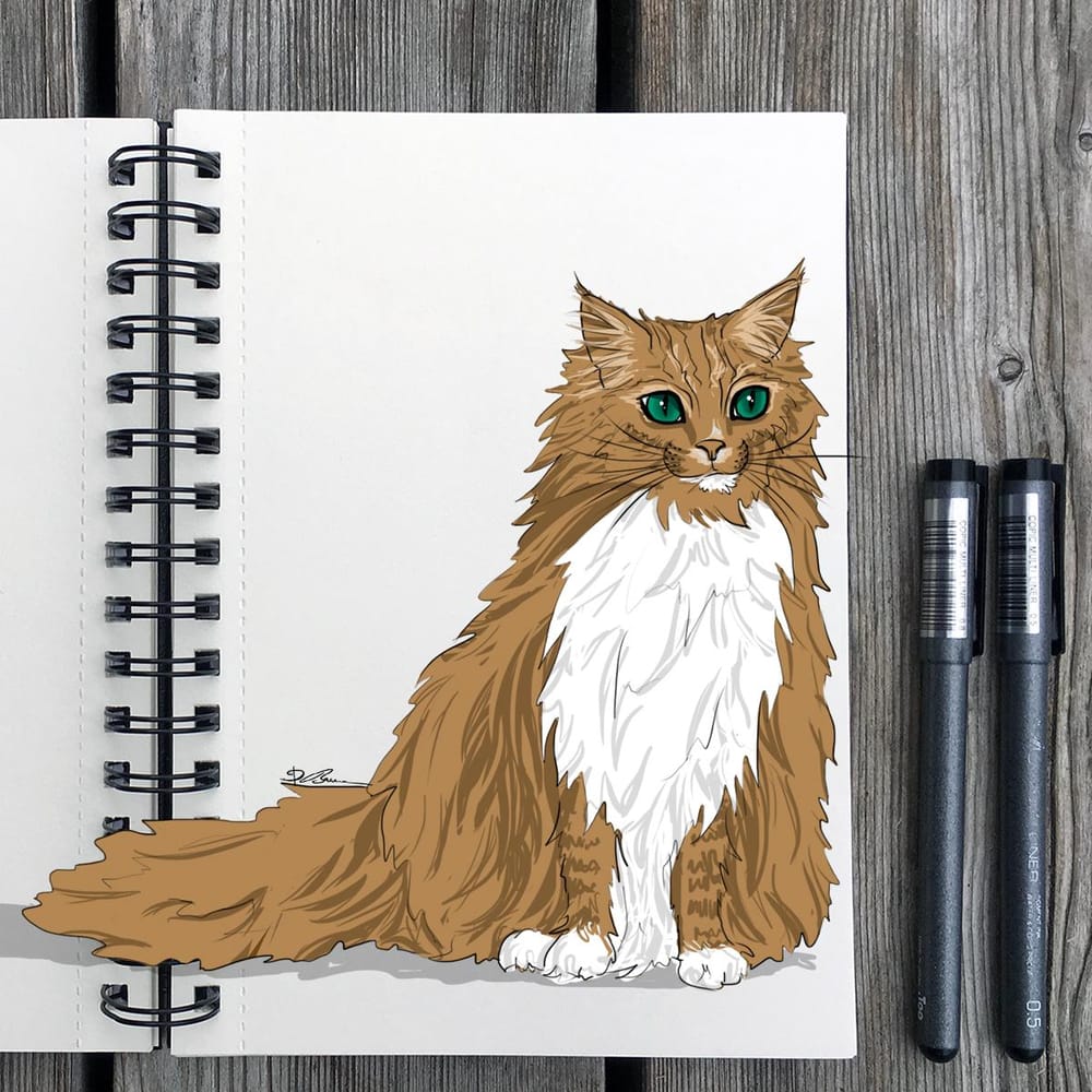 Animal Study: Drawing Cats - image 4 - student project