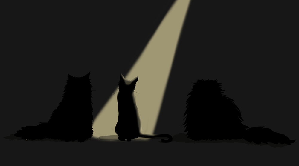 Animal Study: Drawing Cats - image 2 - student project