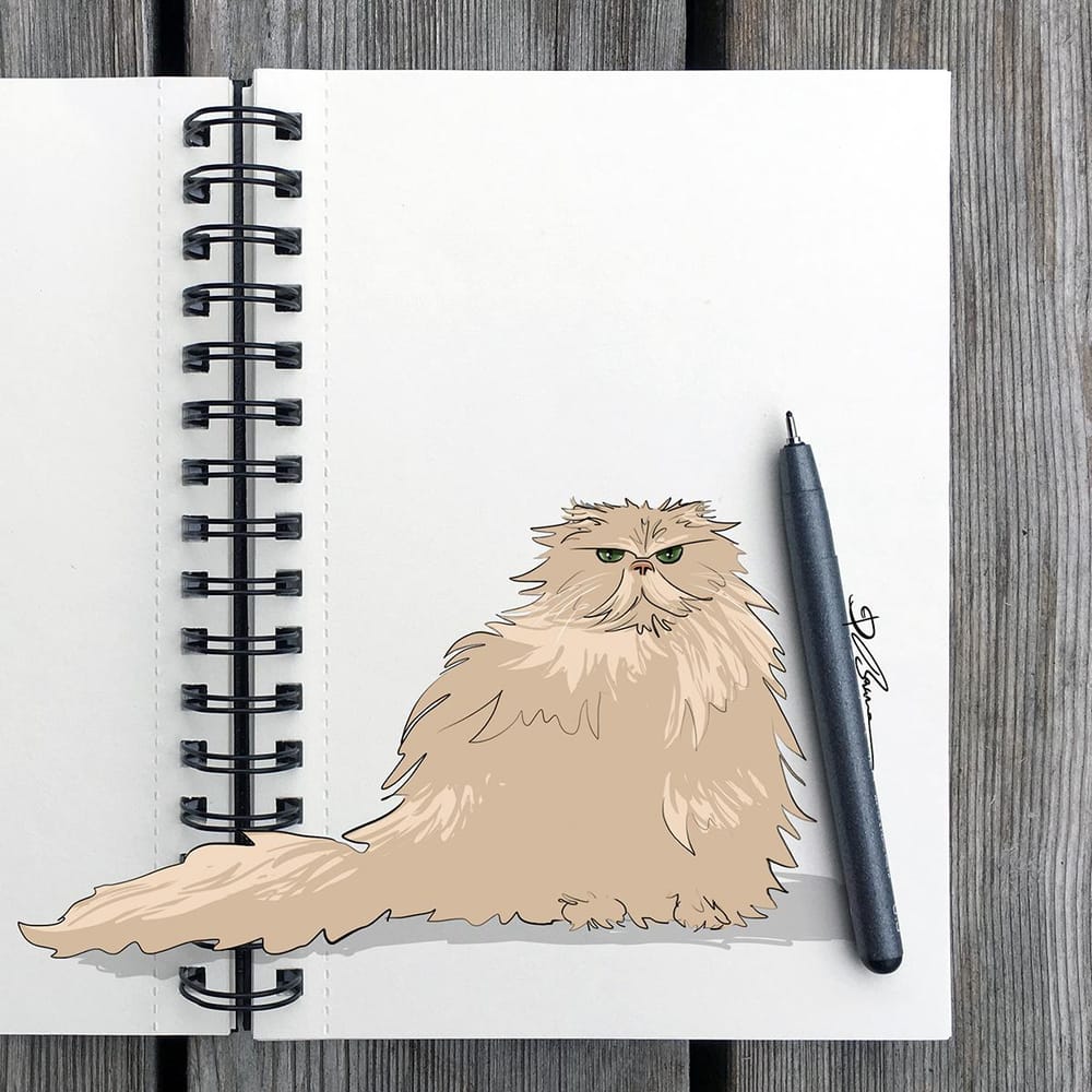 Animal Study: Drawing Cats - image 3 - student project