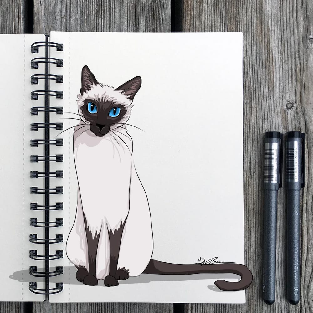 Animal Study: Drawing Cats - image 5 - student project