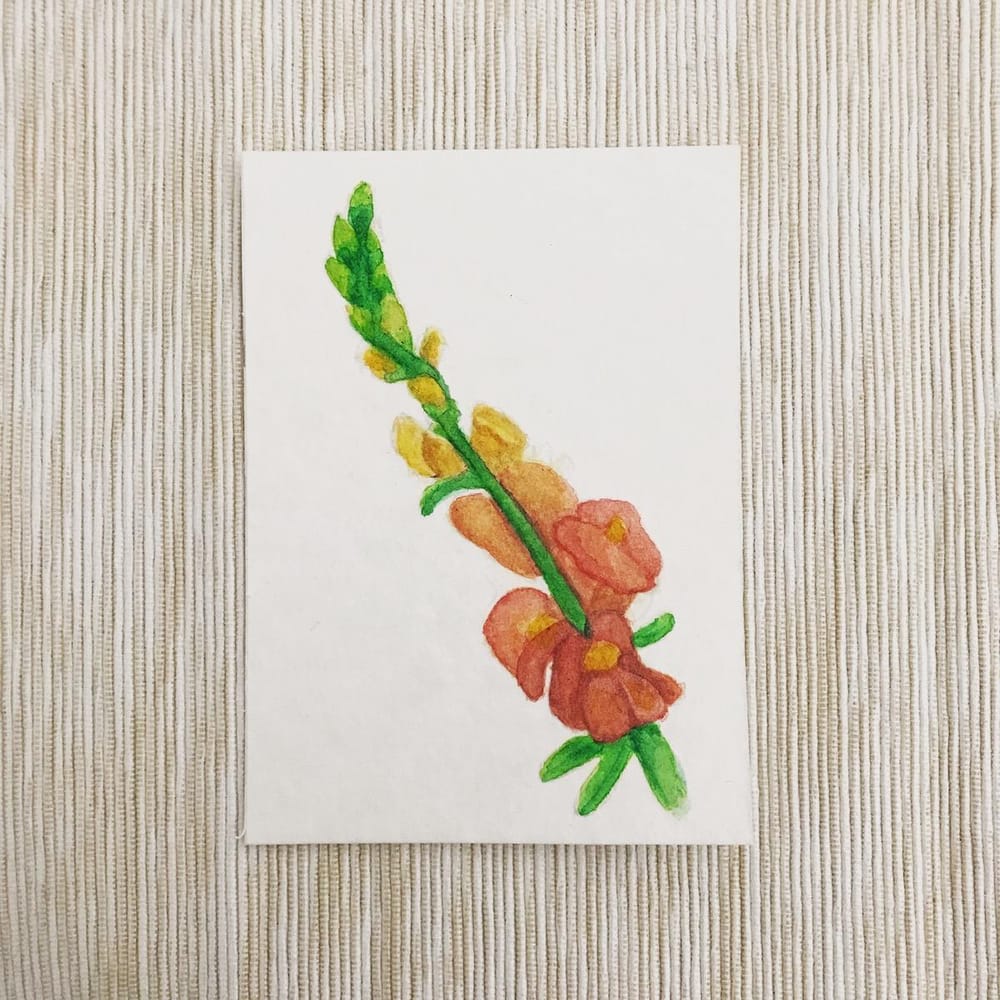 Floral February Watercolour Flowers - image 1 - student project
