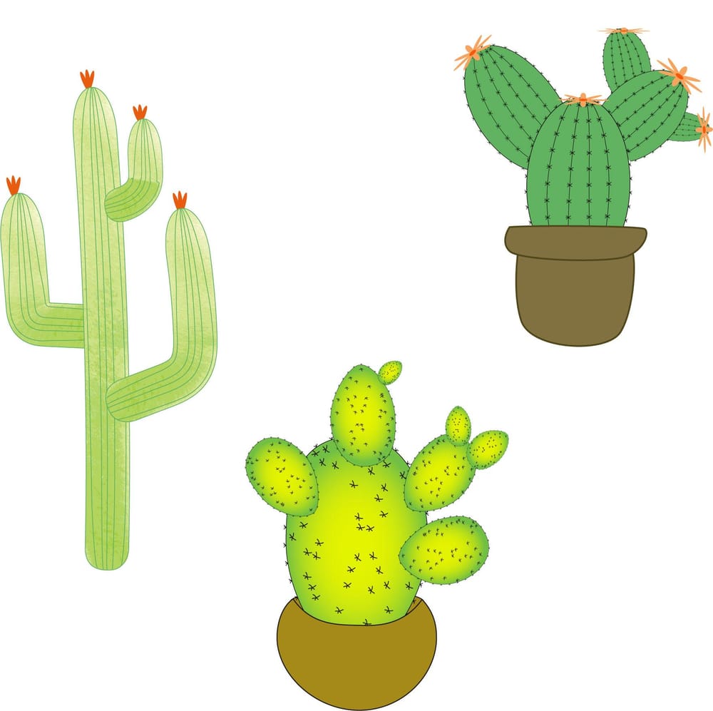 Cacti fun - image 1 - student project