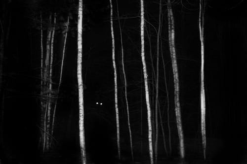 My Shadow and Me  - image 7 - student project