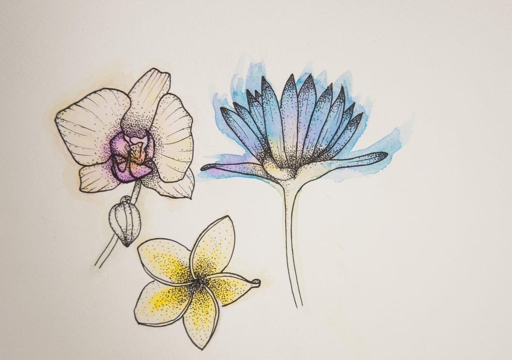 Flowers - image 2 - student project