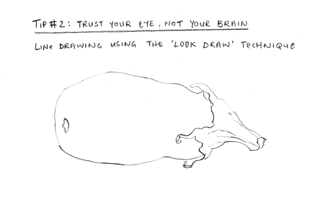 Secrets of Drawing: Three Easy Ways to Improve Your Line Drawings - image 2 - student project