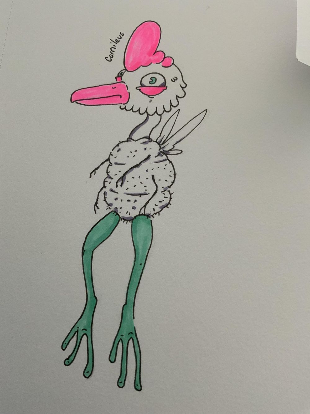 Cornileus - image 2 - student project