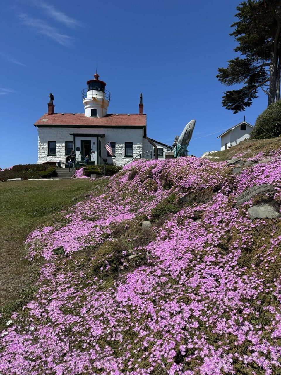 Plein Air for Fun: Battery Point Lighthouse - image 2 - student project