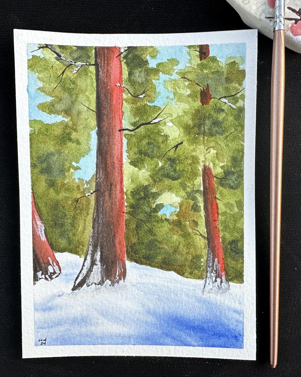 Winter Landscapes with Zaneena - image 2 - student project