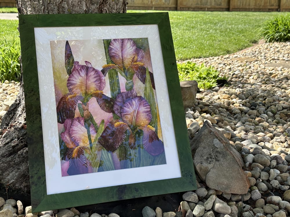 Bearded Irises - image 3 - student project