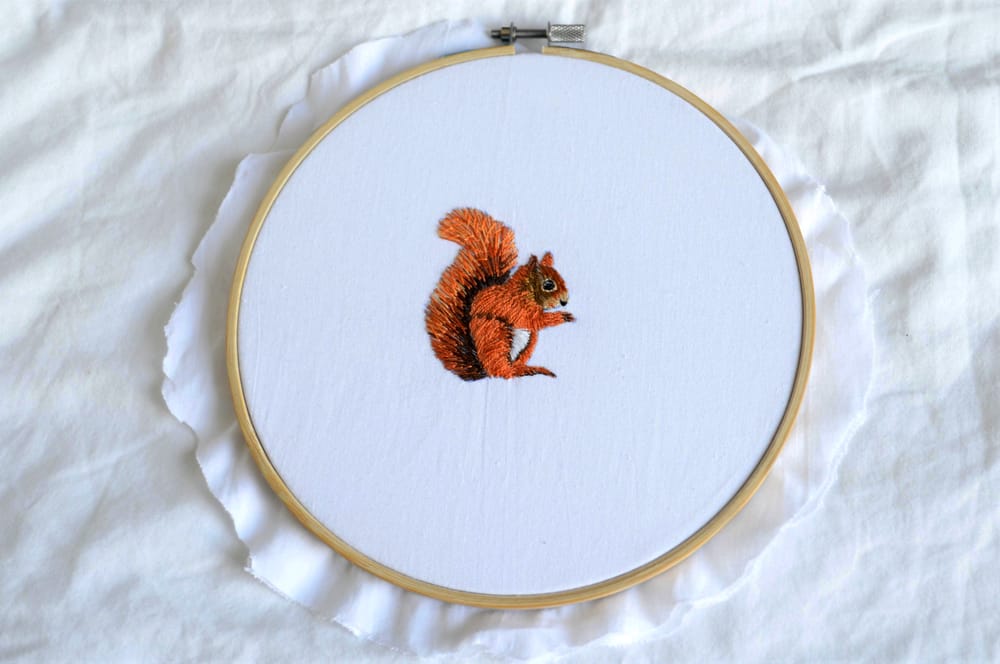 Squirrel - image 1 - student project