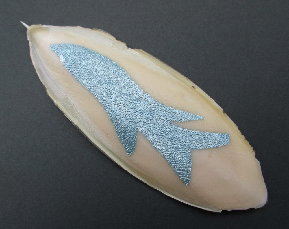 Seaweed & Fish - image 3 - student project