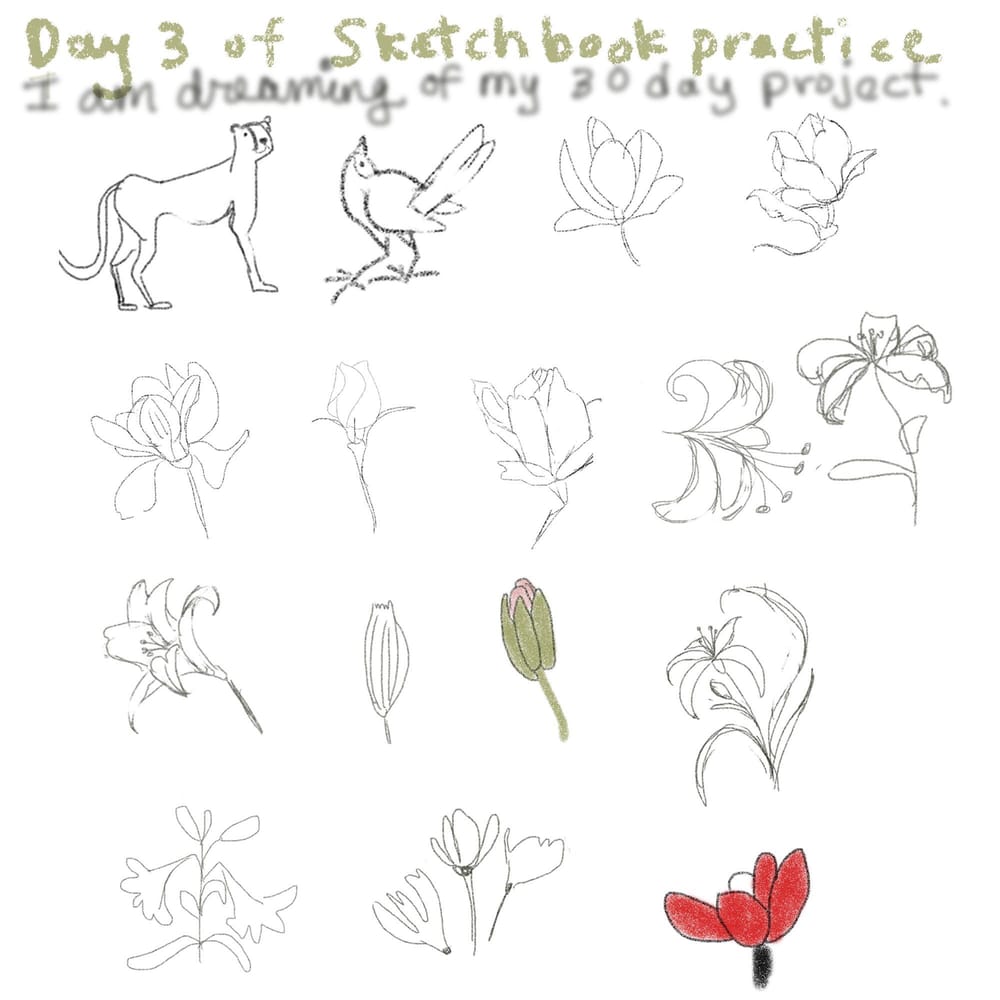 My procreate sketchbook practice - image 3 - student project