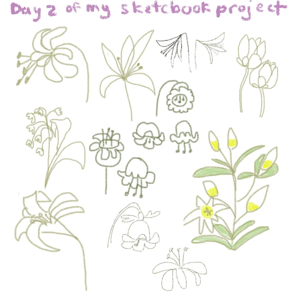 My procreate sketchbook practice - image 2 - student project