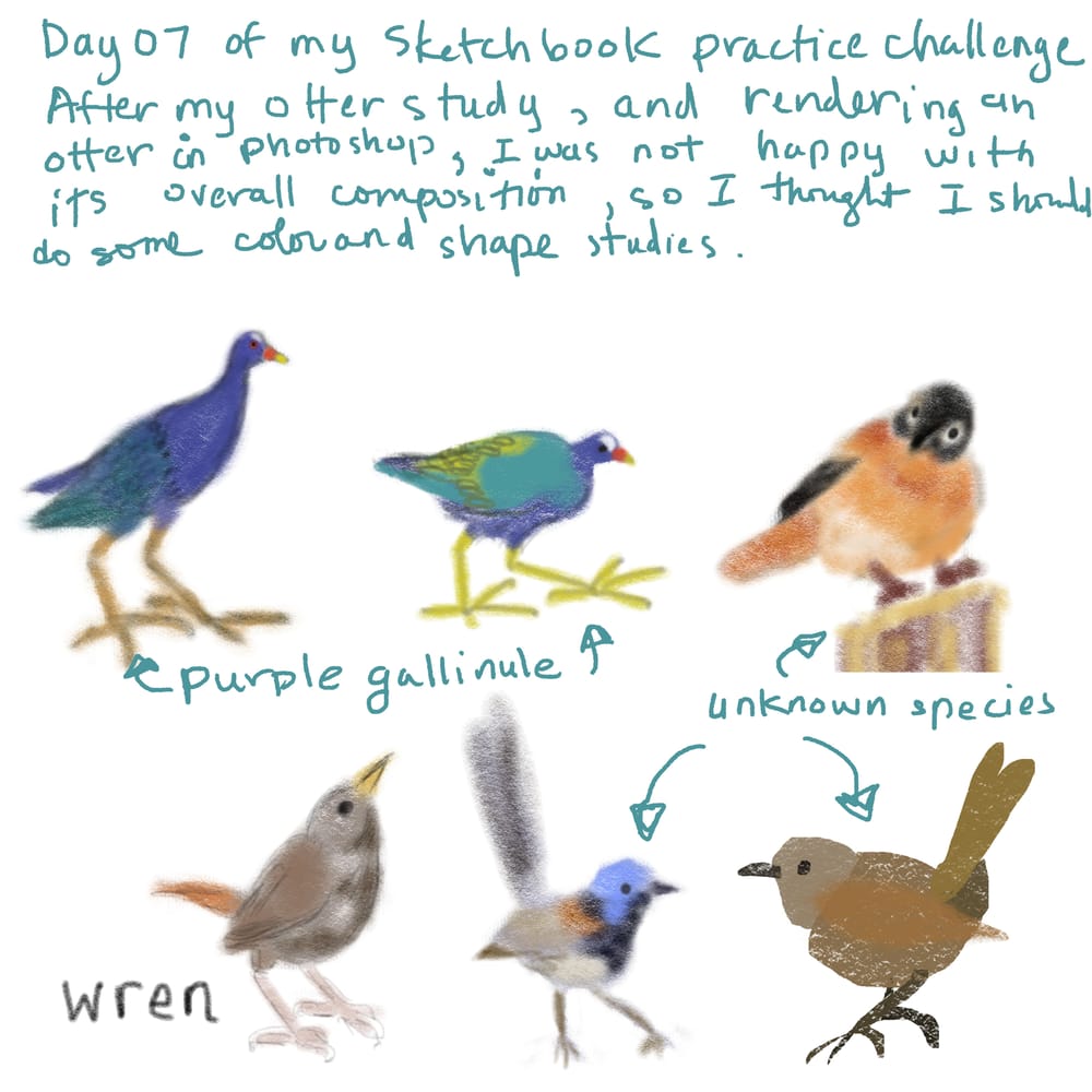 My procreate sketchbook practice - image 7 - student project