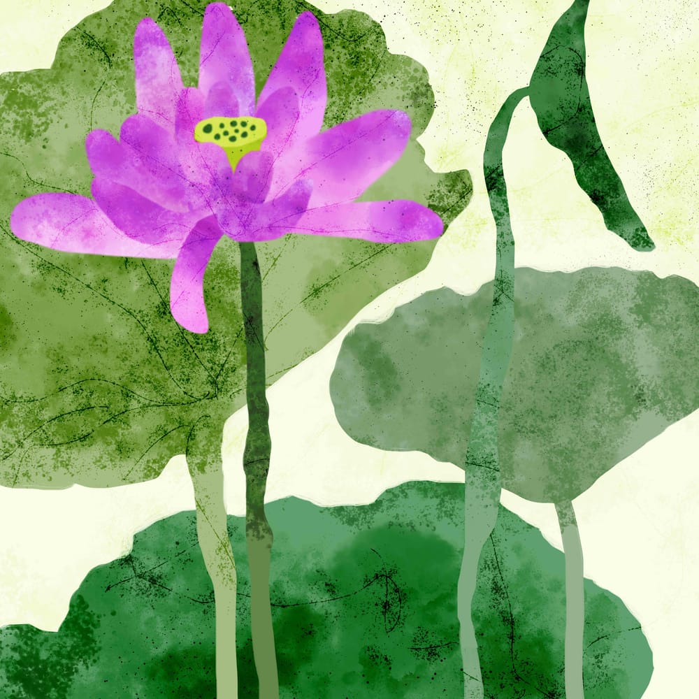 Lotus Flower - image 3 - student project
