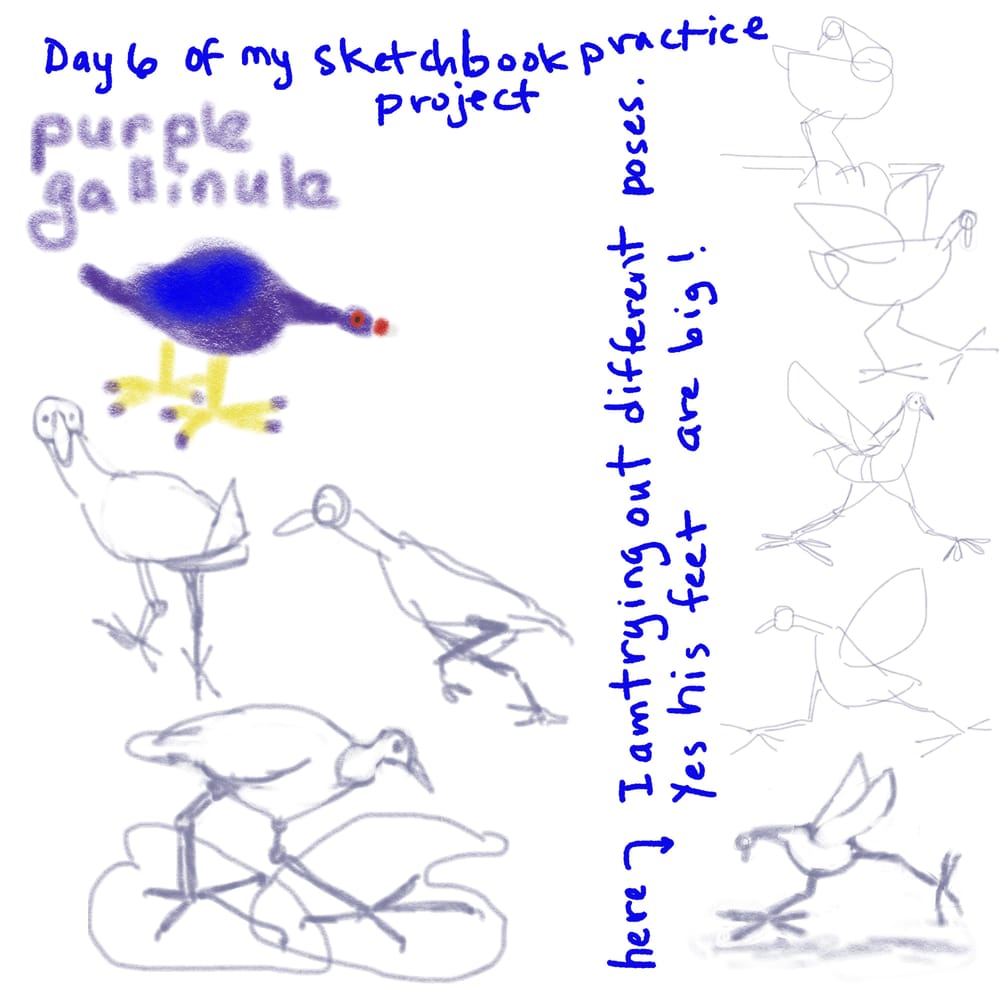 My procreate sketchbook practice - image 6 - student project
