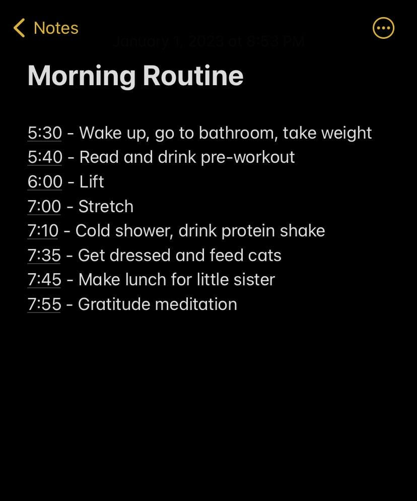 Cheeto's morning routine - image 1 - student project