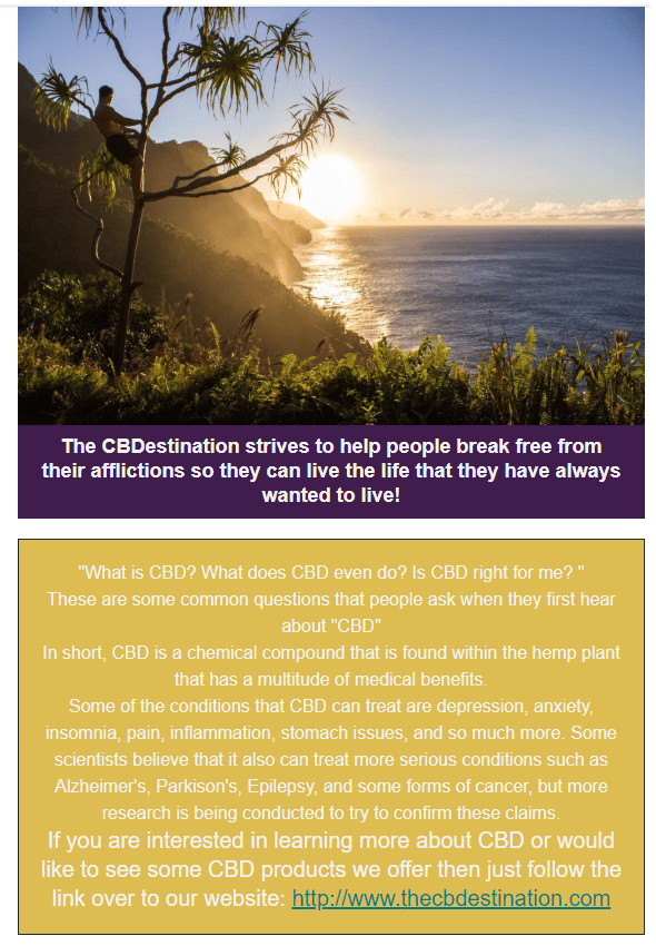 The CBDestination - image 1 - student project