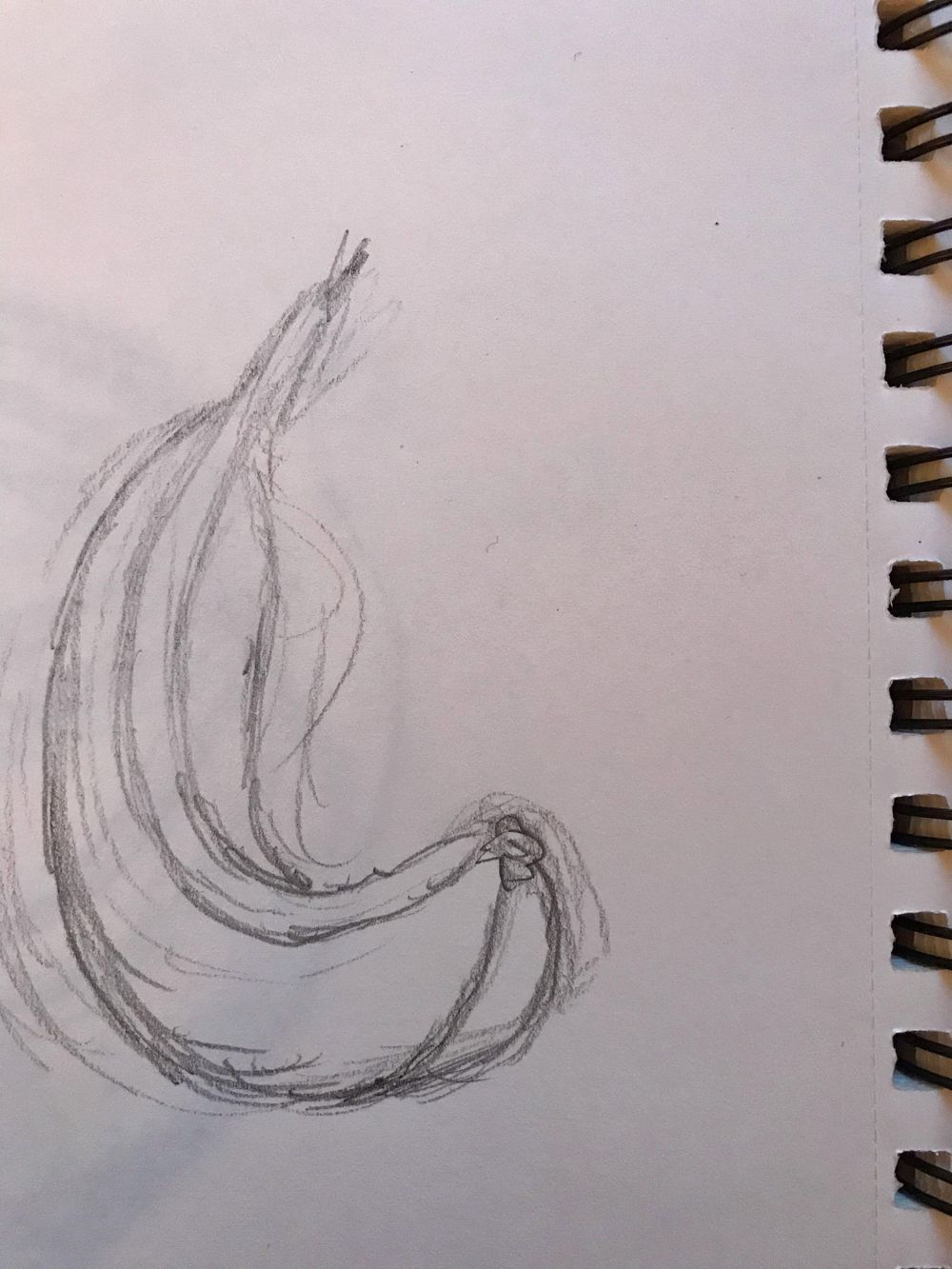 Starting to draw the contours - image 3 - student project