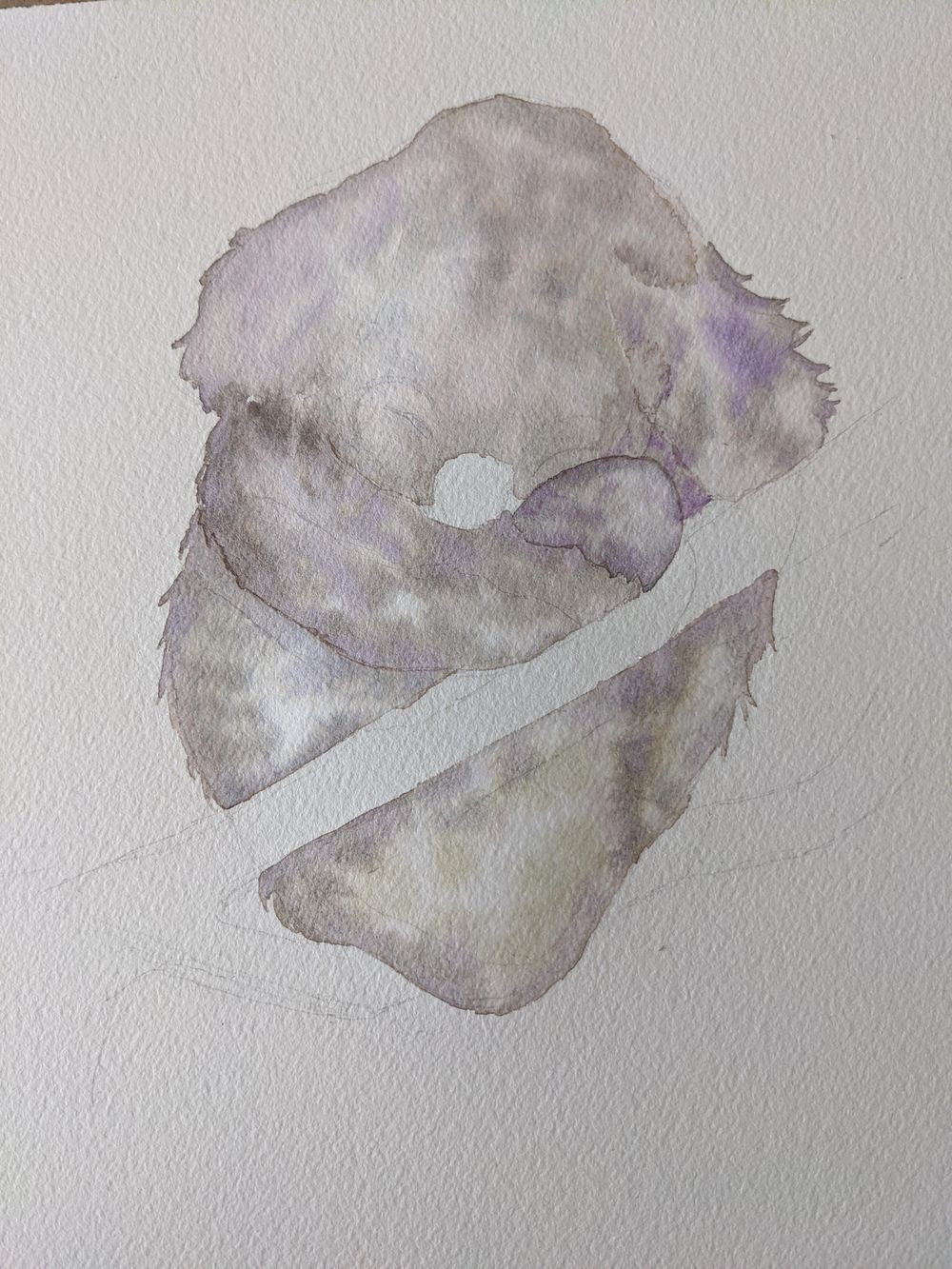 Koala Wet on Wet Pracitce - image 1 - student project