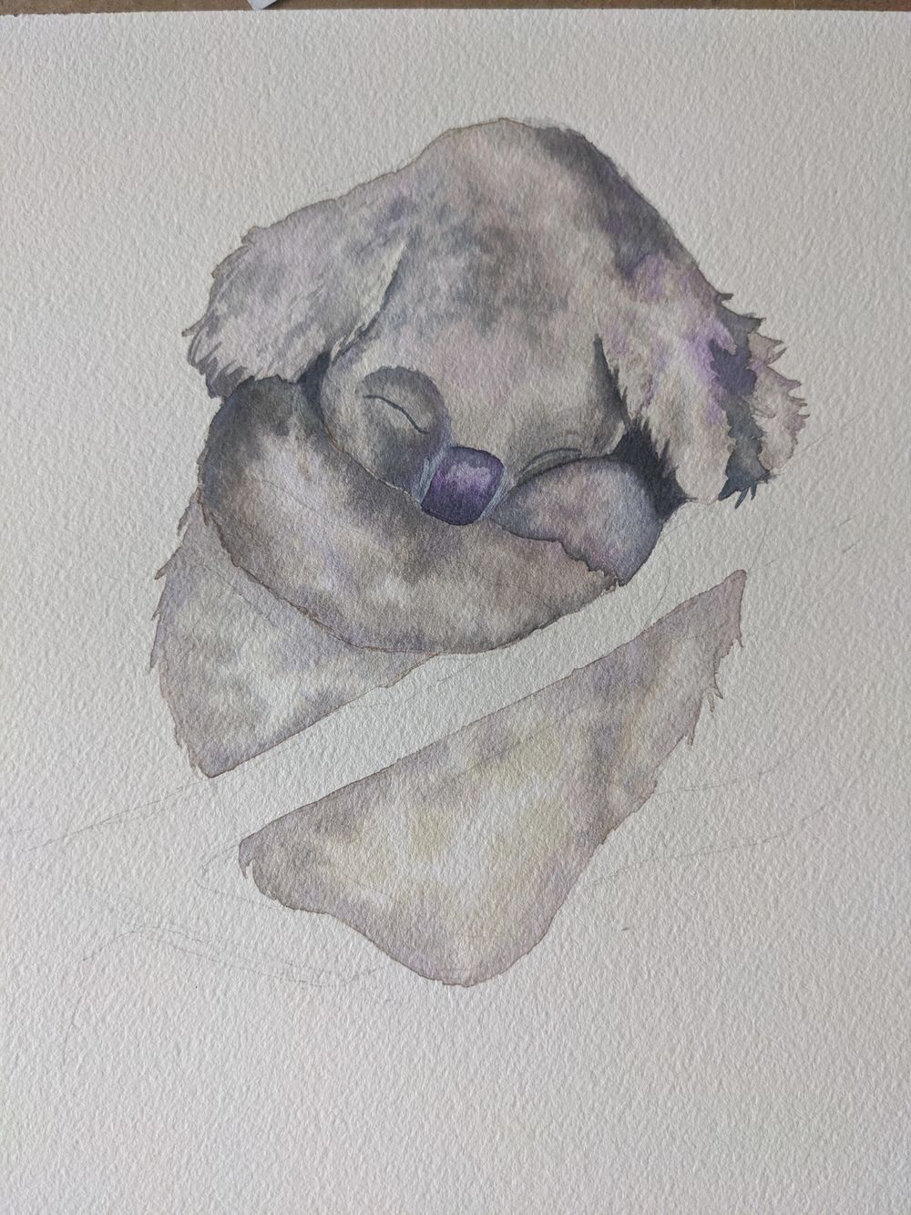 Koala Wet on Wet Pracitce - image 2 - student project