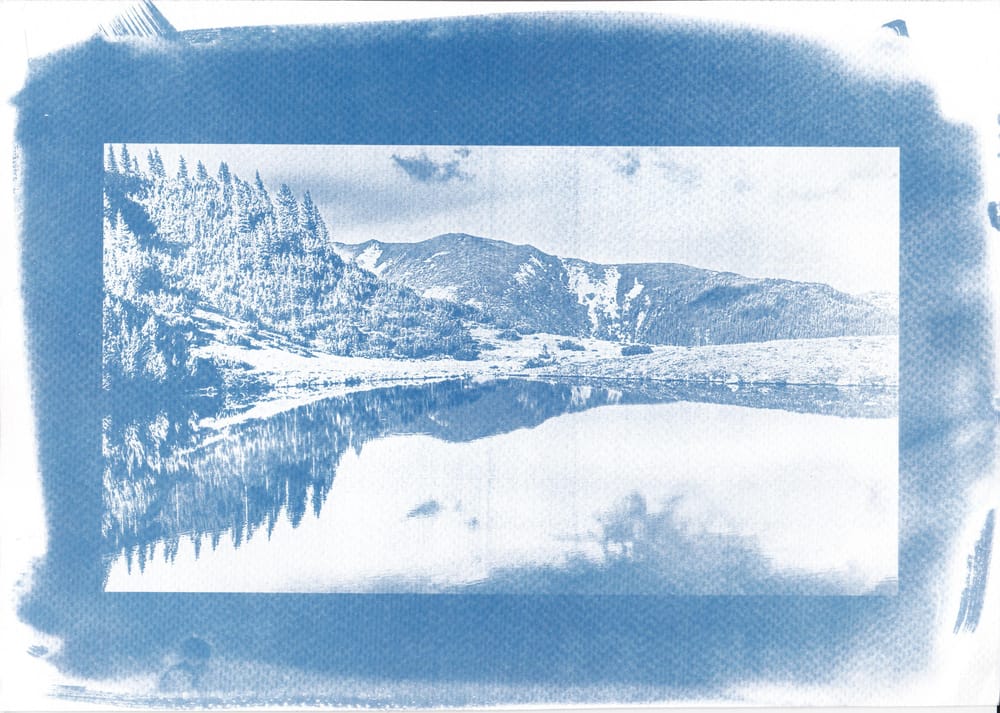 Cyanotype - image 1 - student project
