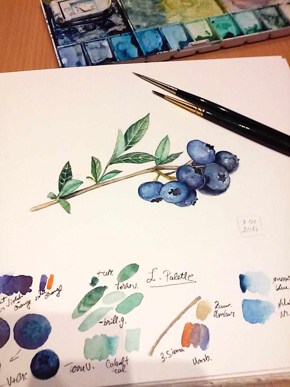 Watercolor Cherries and Berries :) - image 1 - student project