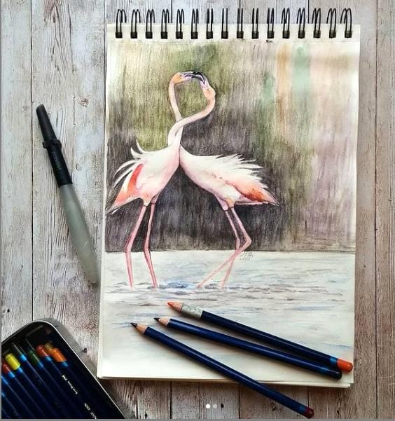 Project Flamingo - image 2 - student project